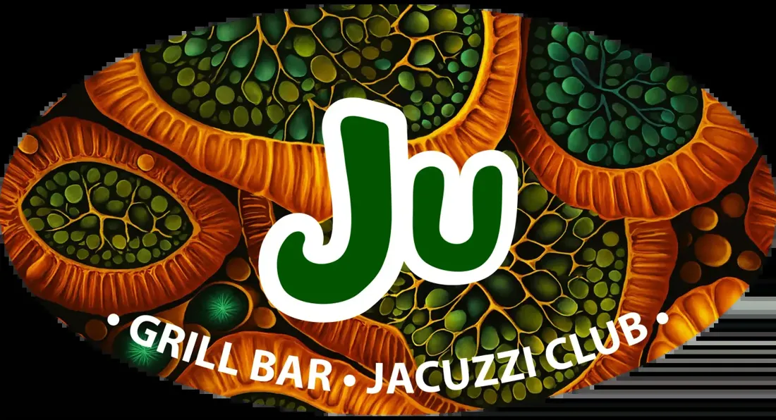 Ju Bali in Canggu