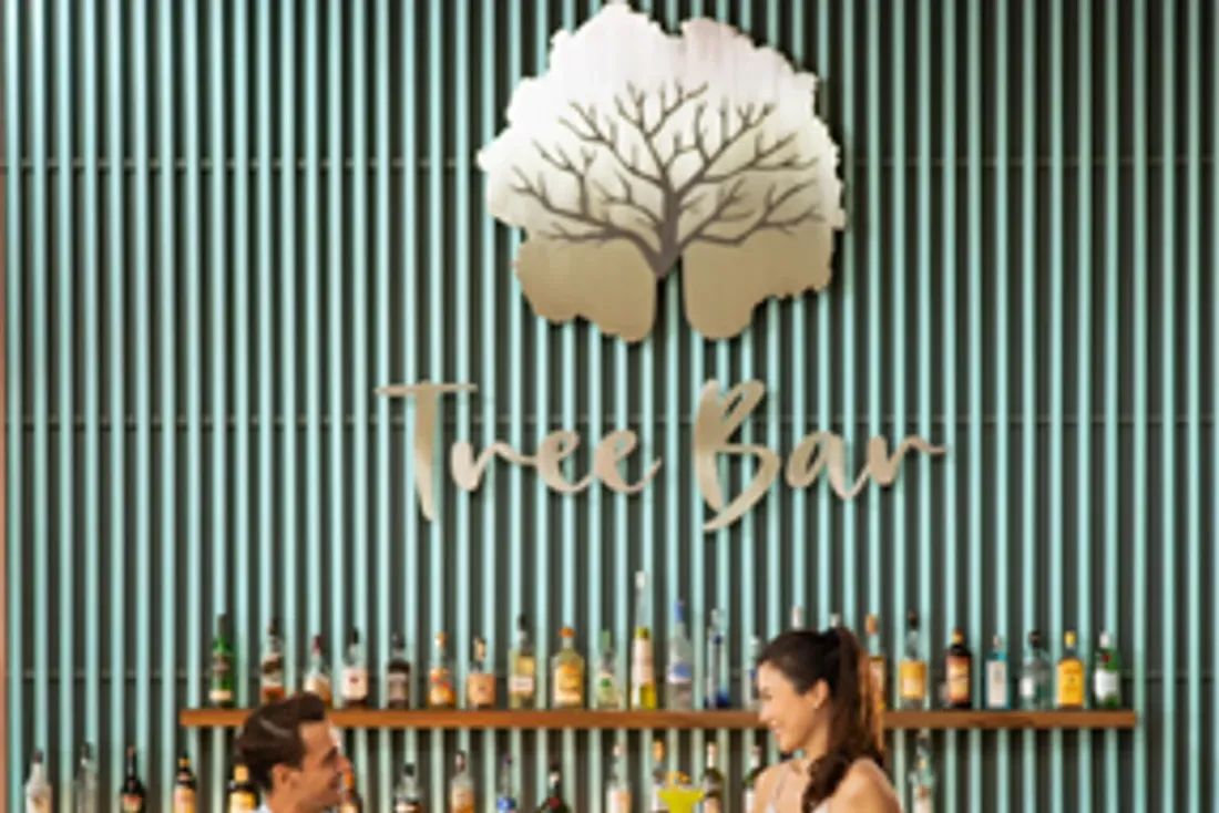 Tree Bar at Maya Sanur Resort & Spa in Sanur
